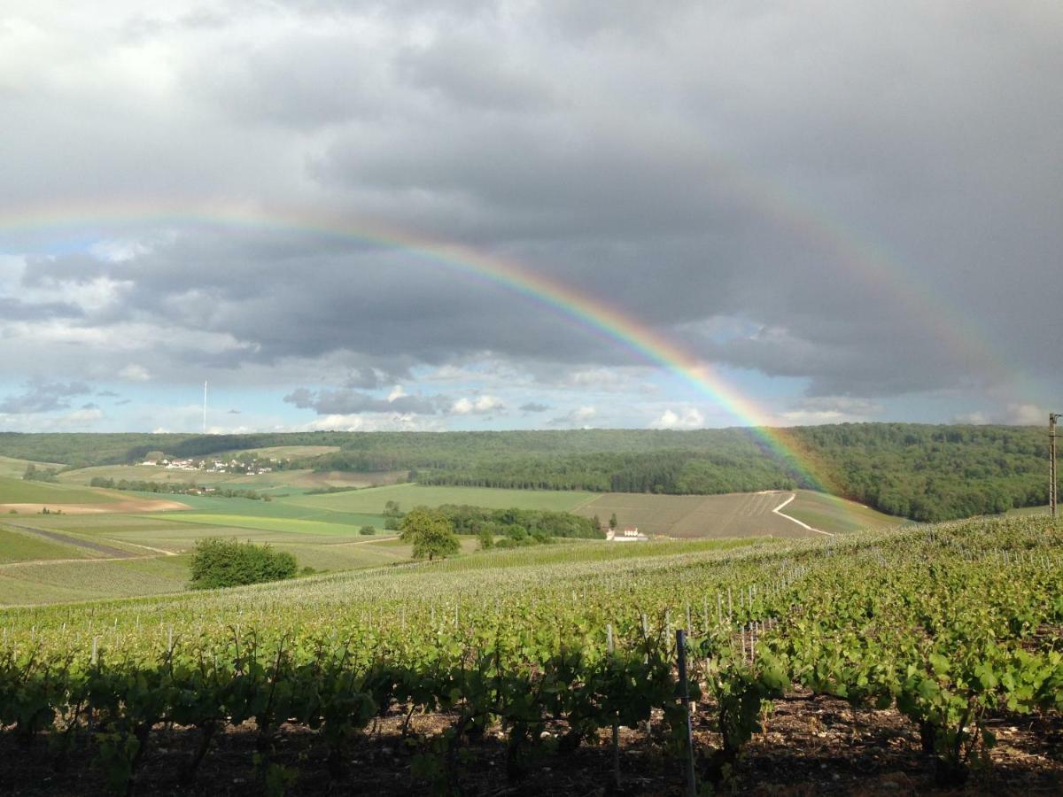 Flor'Ever En Champagne Fleury-la-Riviere 外观 照片