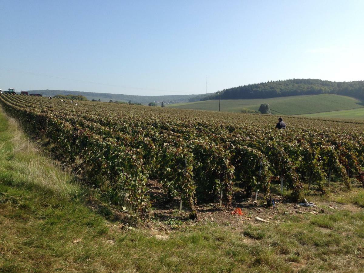 Flor'Ever En Champagne Fleury-la-Riviere 外观 照片