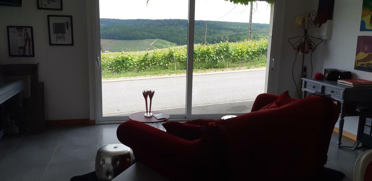 Flor'Ever En Champagne Fleury-la-Riviere 外观 照片