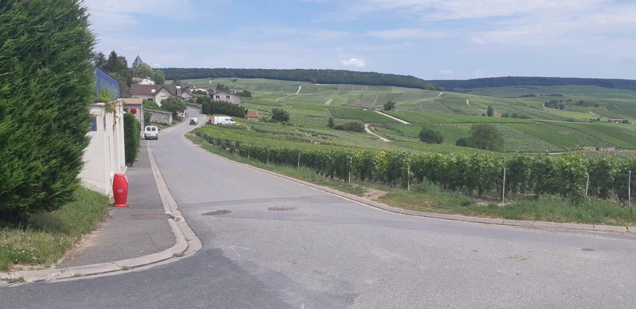 Flor'Ever En Champagne Fleury-la-Riviere 外观 照片