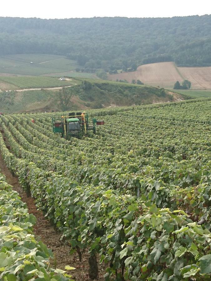 Flor'Ever En Champagne Fleury-la-Riviere 外观 照片