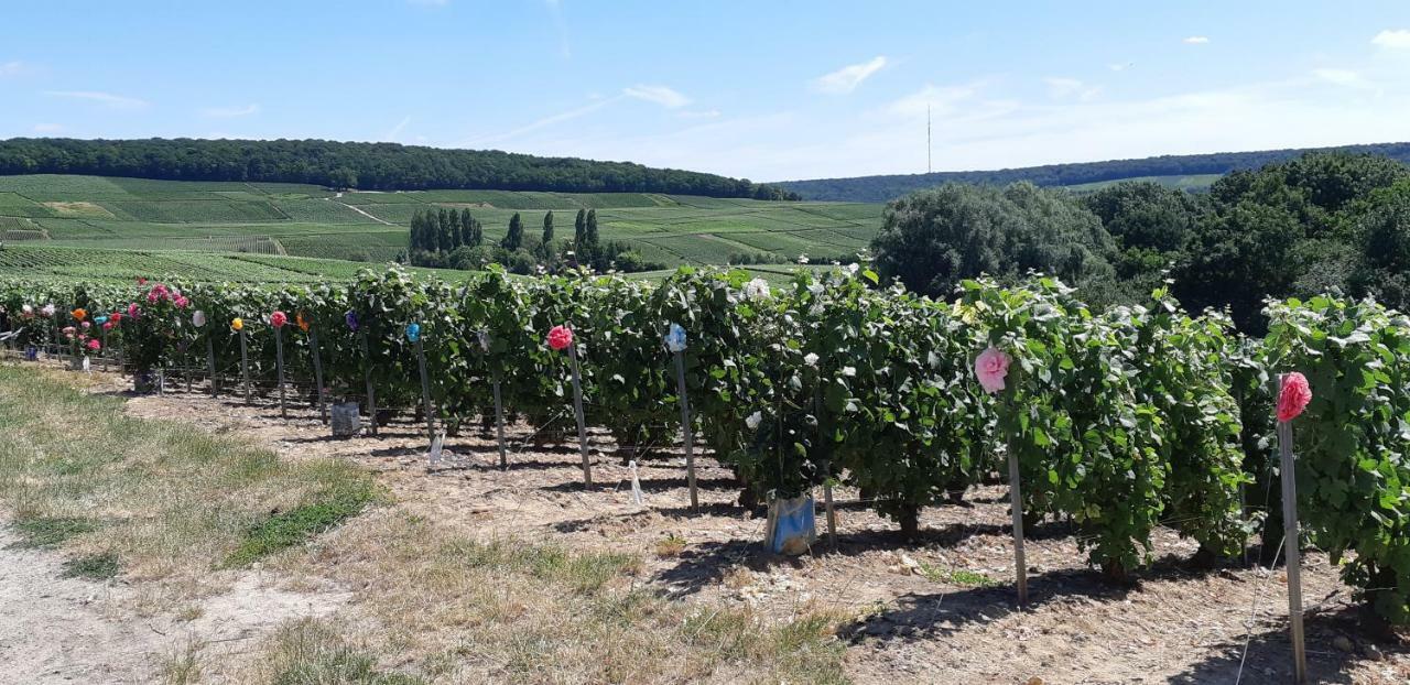 Flor'Ever En Champagne Fleury-la-Riviere 外观 照片