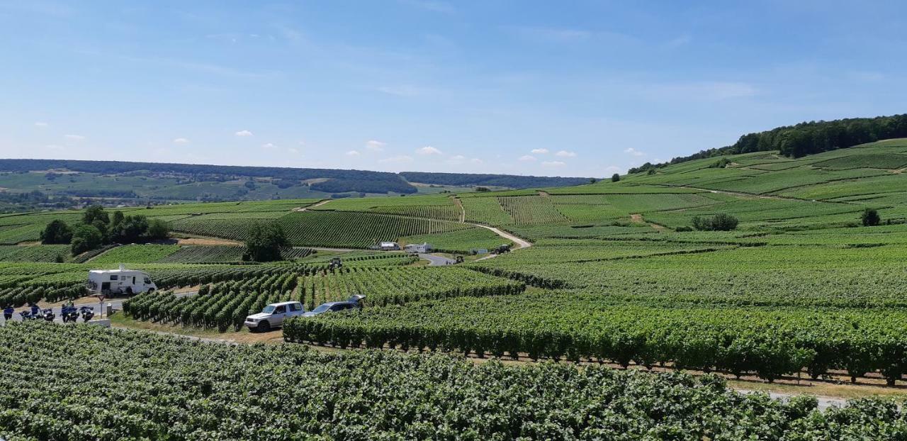 Flor'Ever En Champagne Fleury-la-Riviere 外观 照片